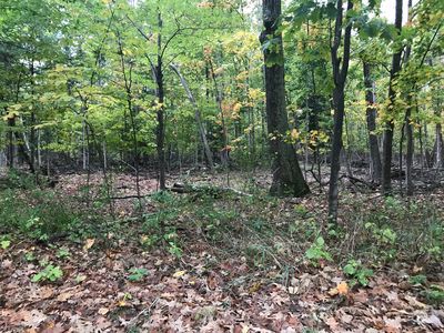 7620 Ridge Rd, Harbor Springs, MI, 49740