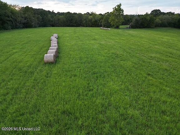 2nd image of Wildcat Bottom Rd