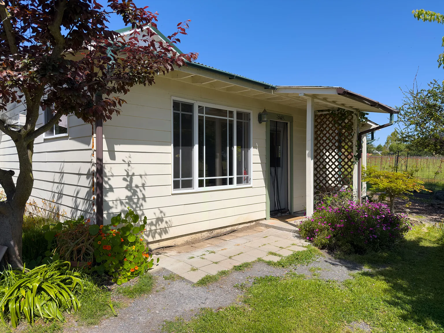 1 bed, 800 sqft, $2,000 — Photo 3
