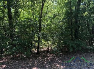 1321 Simmons Rd, Diana, TX 75640