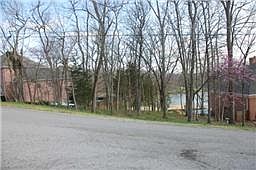 4th image of 117 Spy Glass Way Lot 41