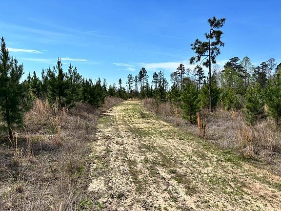 5th image of 0 County Road 421