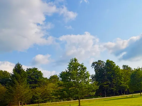 LOT 42 Penny Ln, Davis, WV 26260