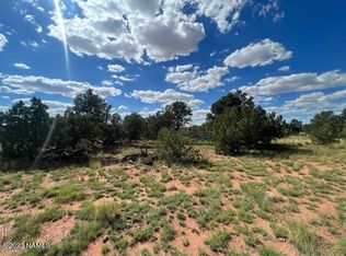 2287 S Kaibab Rd #114, Williams, AZ 86046