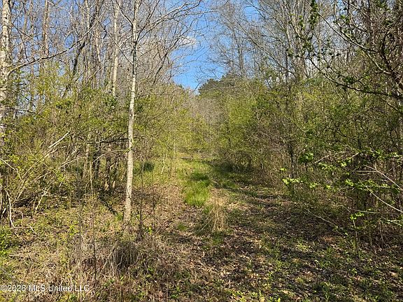 5th image of Wells St