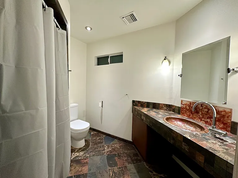 Guest Suite Bath with double walk-in Shower