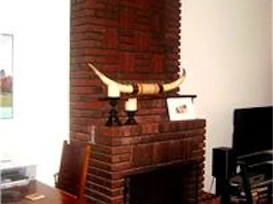 Rented by DSA Realty | media 47