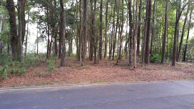 2nd image of 505 Middle Pl
