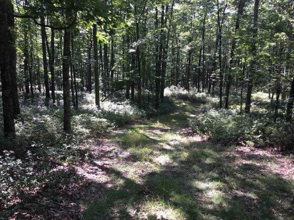 Hinkle Mountain Rd #38, Petersburg, WV 26847