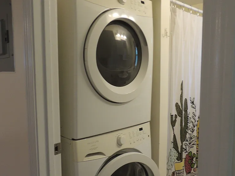 382 Winthrop Ave #3 — Photo 14