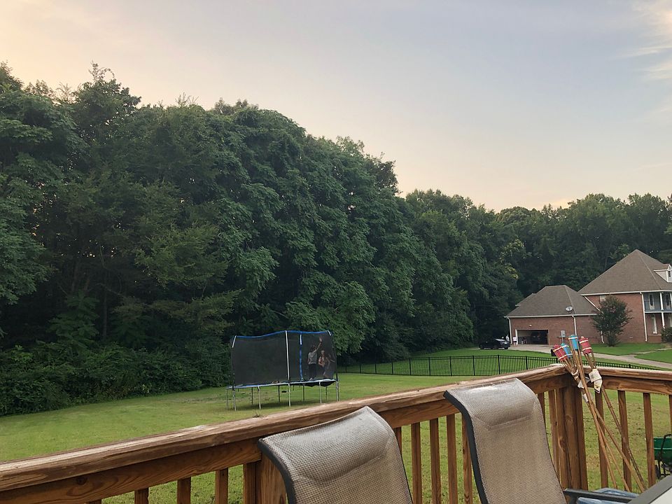 Back yard