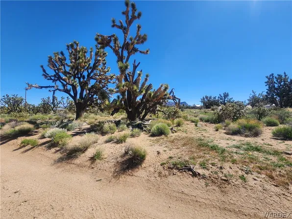 26182 N Pear Ave, Meadview, AZ 86444