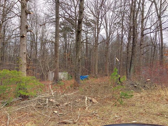 5th image of 216 N Cricket Dr