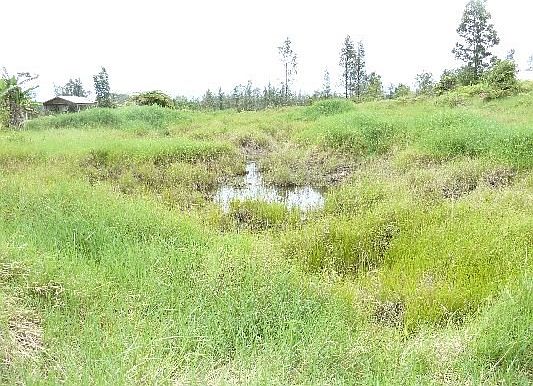 2nd image of Road 9 Koloa Maoli Lot 5590