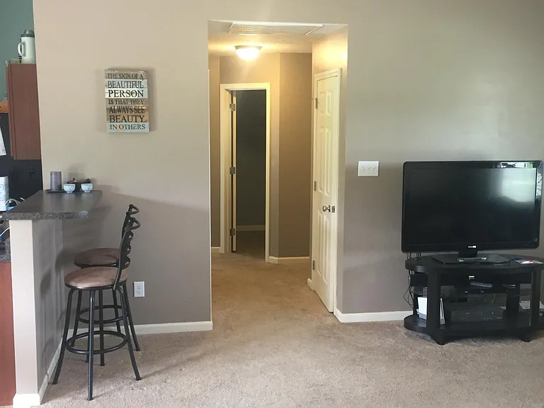 1207 Swan Pond Ln — Photo 12