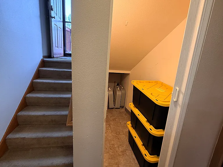 Downstairs storage closet