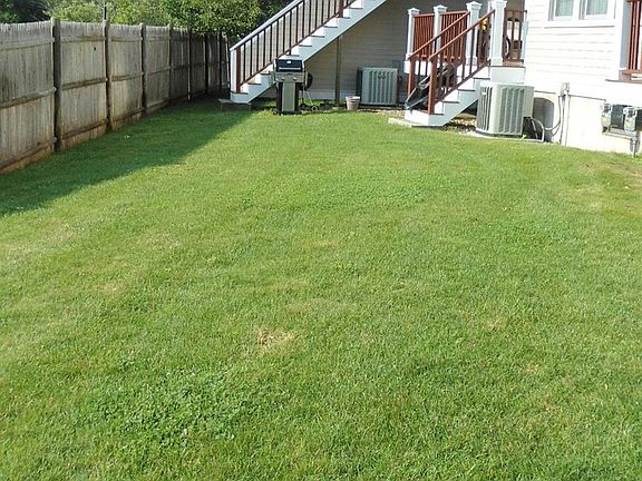 Back yard