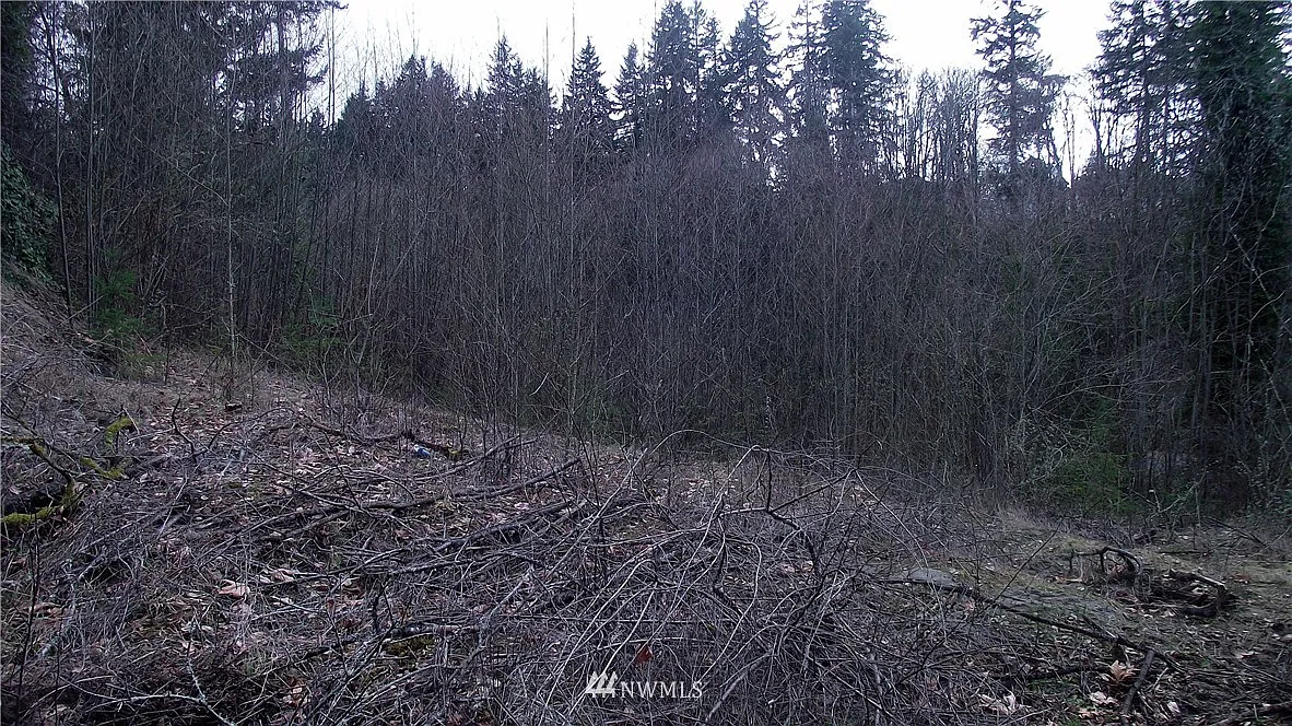 0 E Williams Lane photo 1