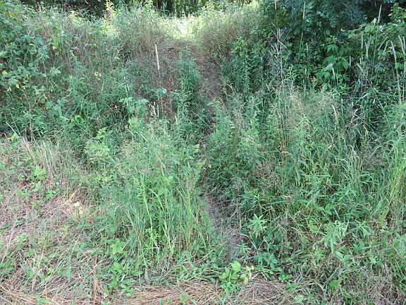 5th image of NE County Line Rd