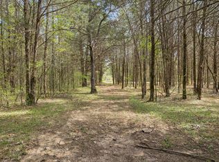160 Osteen Ln, Chapel Hill, TN 37034