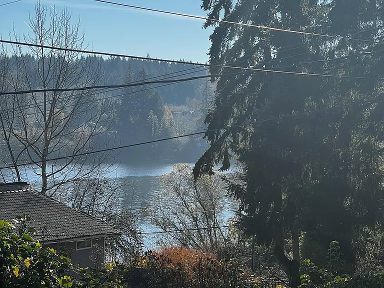 View from Front Deck