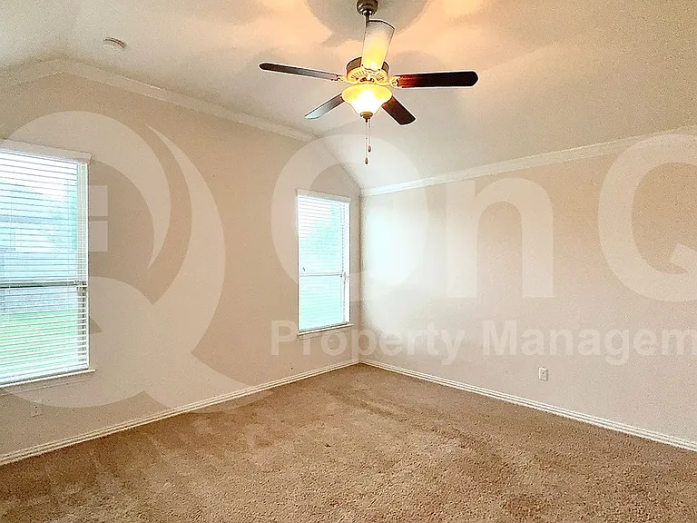 100 Lily Turf Cv — Photo 13