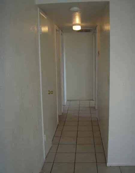 4207 N 74th Dr — Photo 3