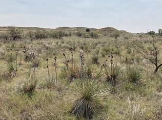 Davison Dr, Amarillo, TX 79124