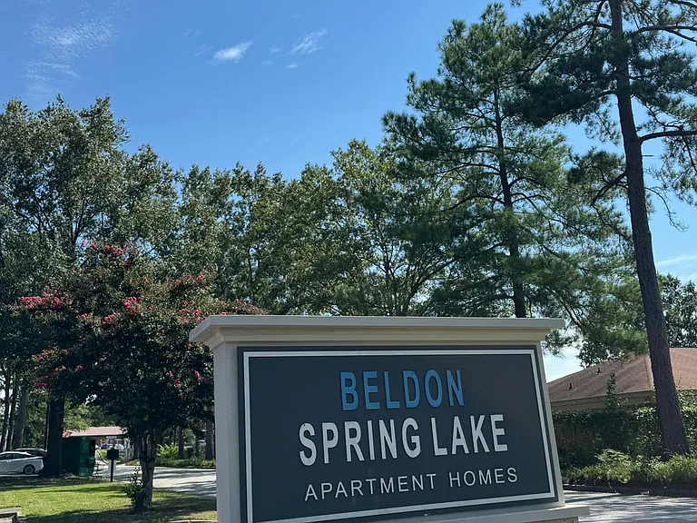 Beldon Spring Lake — Photo 13
