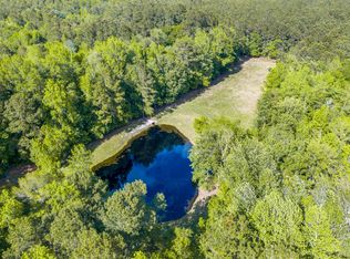 74 Breezewood Ln, Cottageville, SC 29435