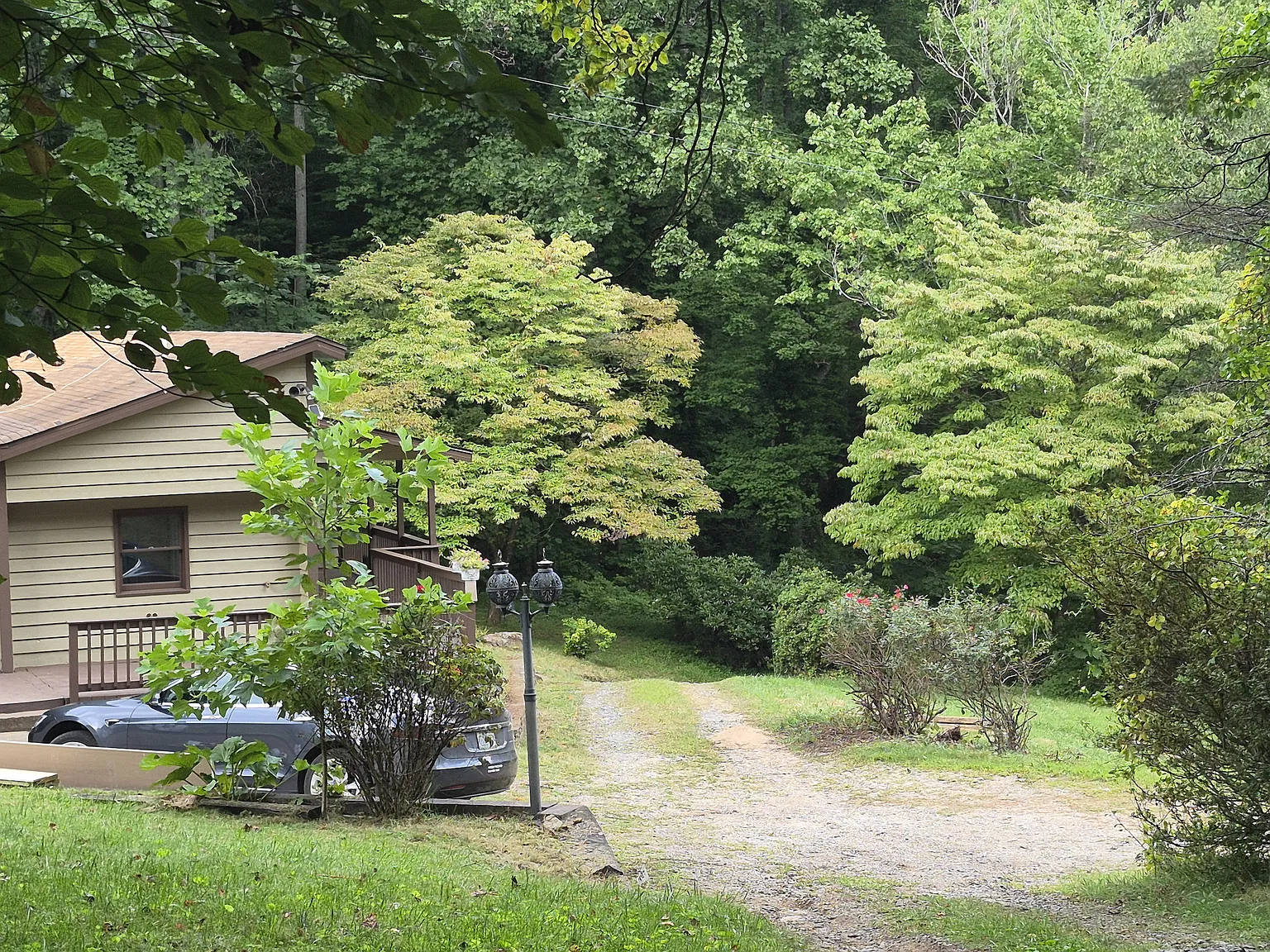 3 bed, 1.5 bath, 1650 sqft, $2,000 — Photo 2