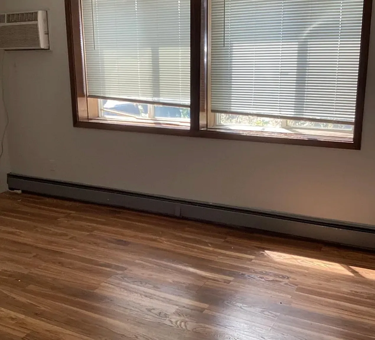 1 bed, 550 sqft, $100 — Photo 3
