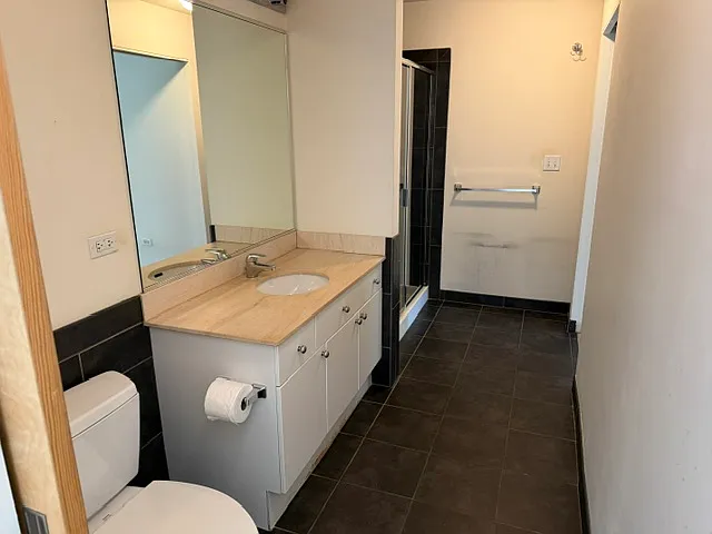 1720 S Michigan Ave #1009 — Photo 8