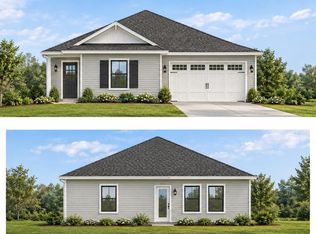 1106 Mount Olive Church Rd, Nichols, SC 29581