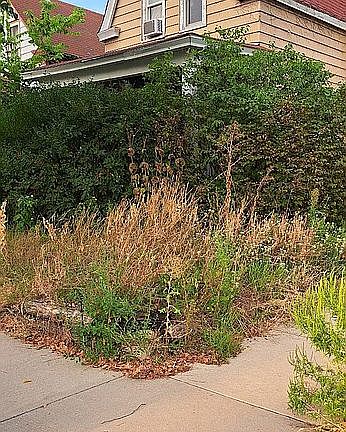 2nd image of 3547 14th Ave S