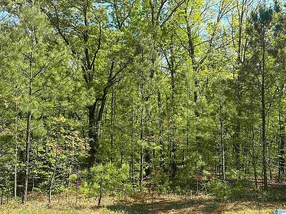 3rd image of 0 County Road 92 #1