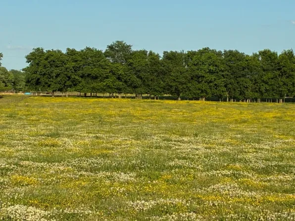 0 Dry Creek Rd Lot 11, Mount Pleasant, TN 38474