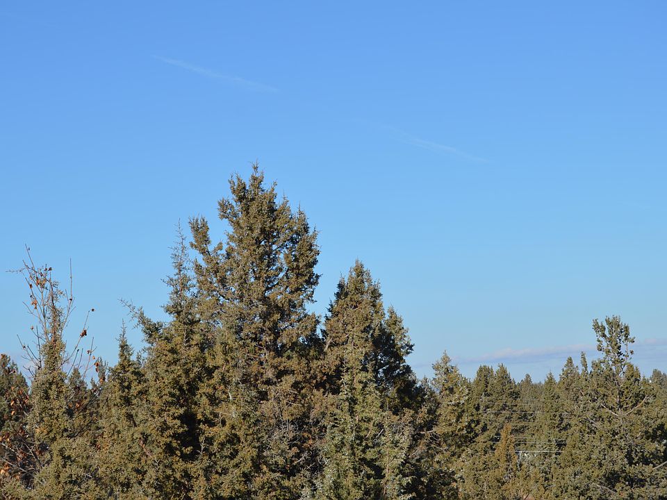 1st image of 0 SW High Cone Dr