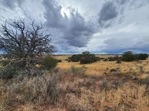 5184&8381 Starlit Trail &, Williams, AZ 86046