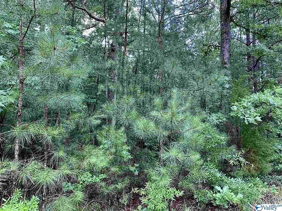 2nd image of 0 County Road 698