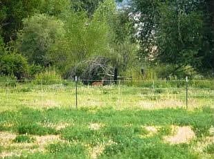 5th image of 3280 Emily Ln