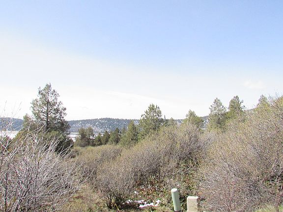 3rd image of 1061 Crossbill Dr