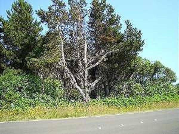 1st image of 319 Ocean Shores Blvd Nw Ocean Shores Wa #Near