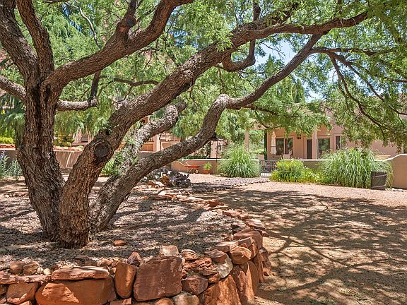 Full Mature Trees For Shade
