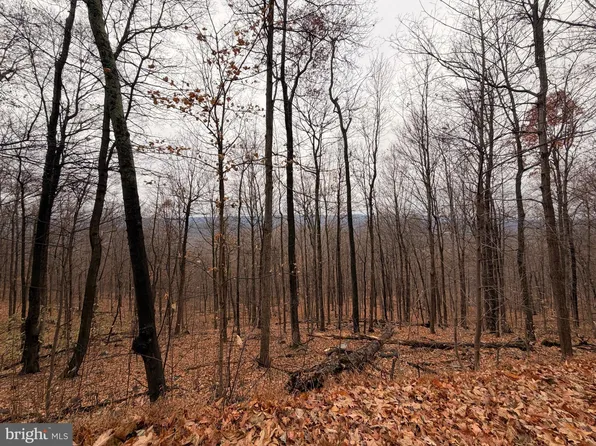 LOT 9 Gobbler Ln, Hedgesville, WV 25427
