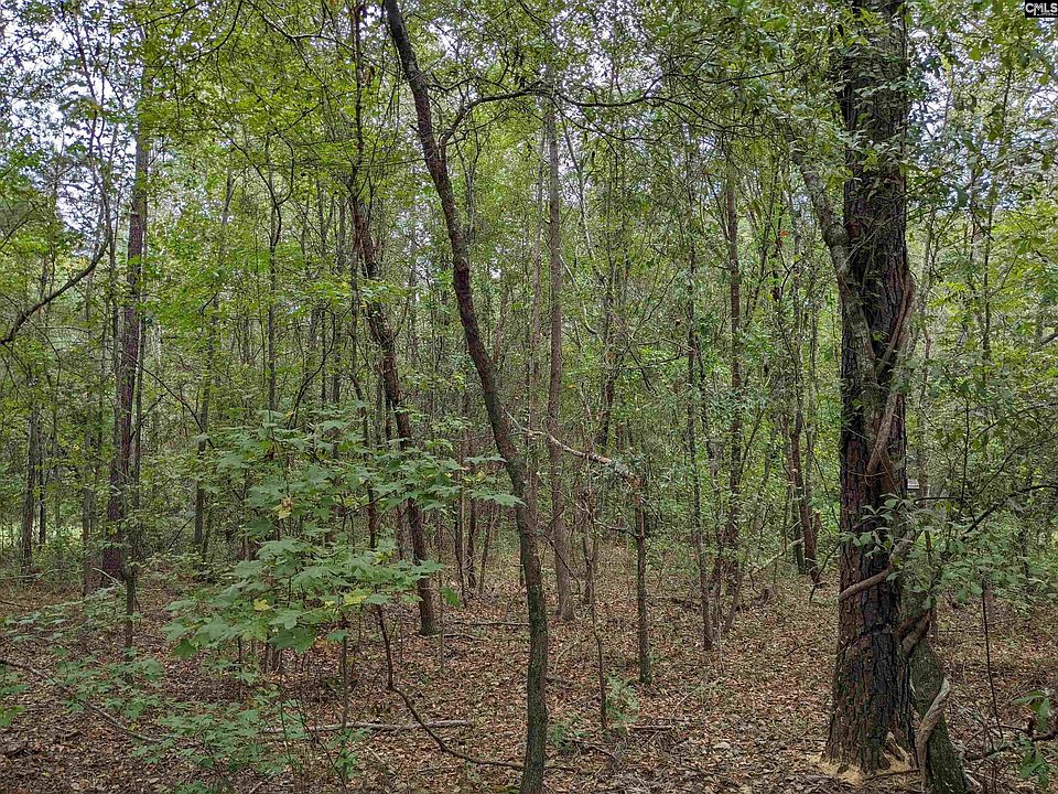 2nd image of 1113 Chappell Creek Rd