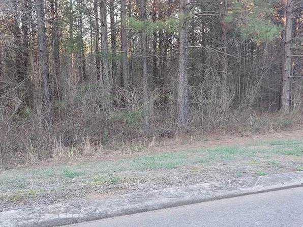 262 Mountain View Cir, Ocoee, TN 37361