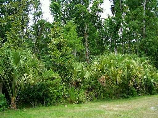 Conservation Lot View