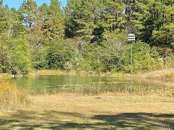3rd image of 419 Greentree Dr