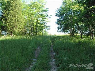 middle looking toward back boundary